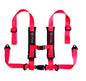 RZR 4-Point Harness Seat Pass Through Kit (2 Seats) with Override Clip