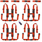 Four Harness Pack Auto Buckle with Harness Collars
