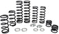 Zbroz Racing Dual Rate Spring Kit Polaris 4 Seat XP 1000 - 249-6005